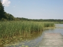 Jezioro Białe sosnowickie - Libiszowskie (001.jpg)
