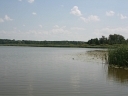 Jezioro Białe sosnowickie - Libiszowskie (002.jpg)