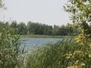 Jezioro Czarne Sosnowickie (000.jpg)