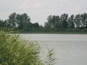 Jezioro Tomasznie/Tomaszne